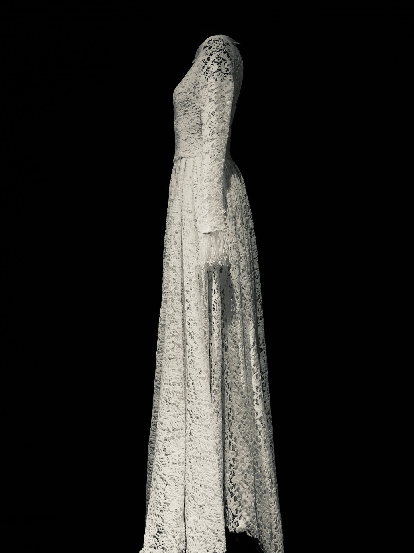 Moonlit Lace