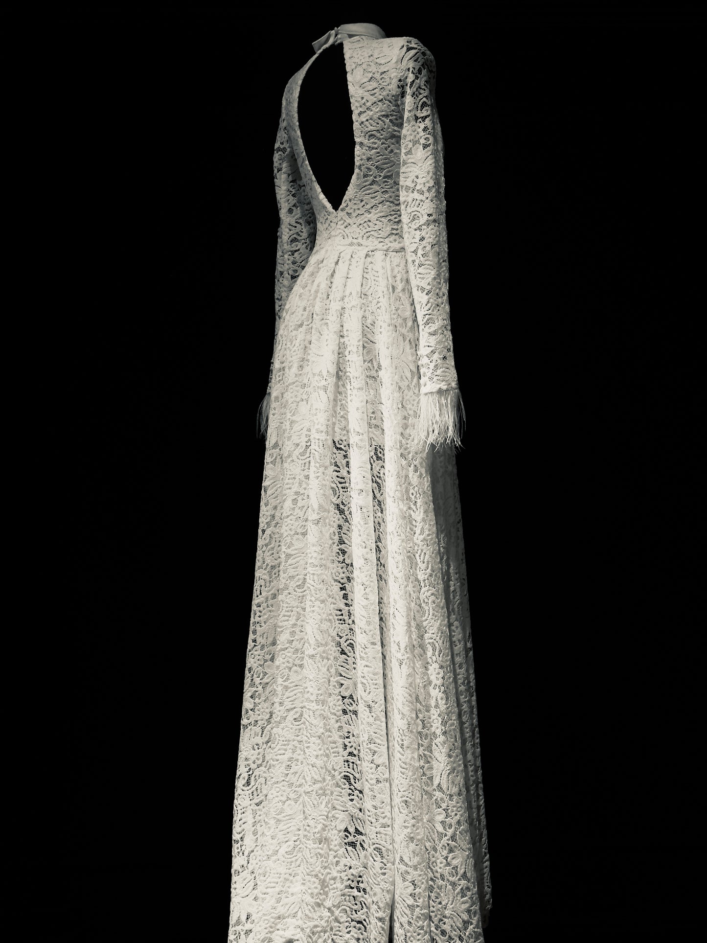 Moonlit Lace